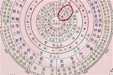 1984年是什么命